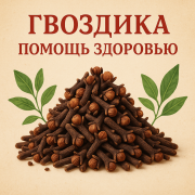 Гвоздика для контроля сахара в крови