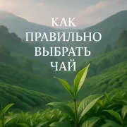 как выбрать чай