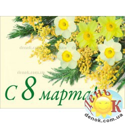 Мимоза и нарциссы