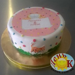 На 5 лет с котами