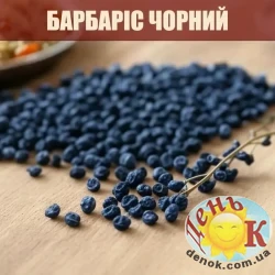 Барбарис черный