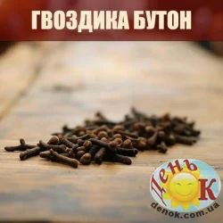 Гвоздика бутон