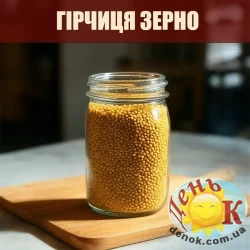 Горчица зерно