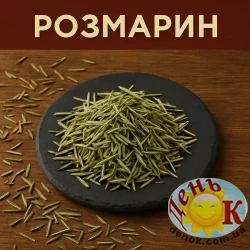 Розмарин