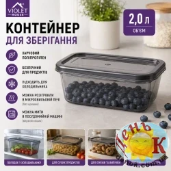 Контейнер с крышкой Violet House Transparent Black 2 л