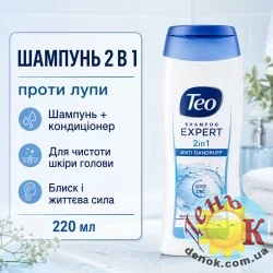 Шампунь против перхоти 2 в 1 Teo Shampoo Expert 2in1 Anti Dandruff 220 мл
