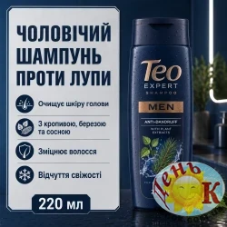Шампунь против перхоти мужской Teo Men Shampoo Anti Dandruff 220 мл