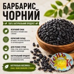 Барбарис черный