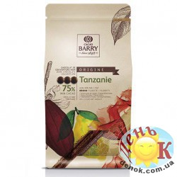 Темный шоколад 75% с фруктовым вкусом Cacao-Barry с доставкой по Украине