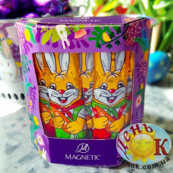 Зайчики в коробке Magnetic