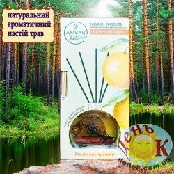 Ароматические палочки в настойке апельсина и корицы Ambar Botanic Naranja & Canela